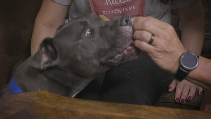 . – Bild: Warner Bros. Discovery