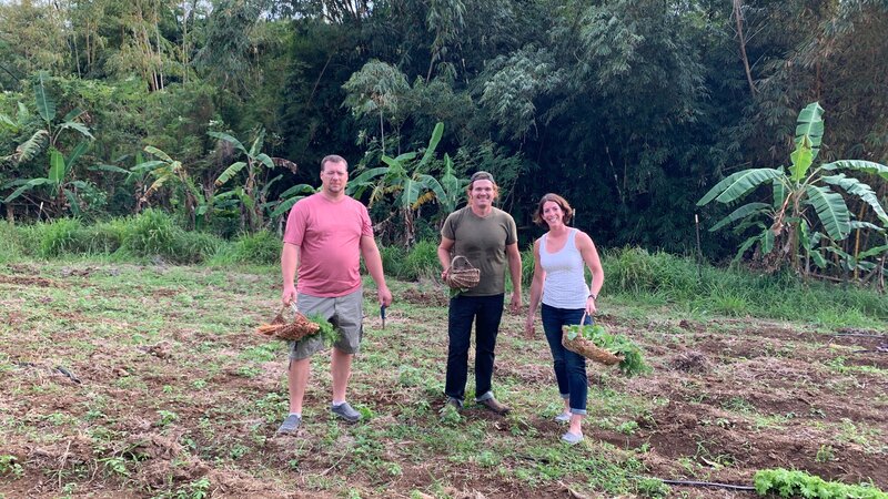 Exterior, Clients Josh and Liz picking carrots in a farm in St. Croix. As seen on HGTV’s Caribbean Life. – Bild: HGTV /​ Discover Images /​ Discovery Communications