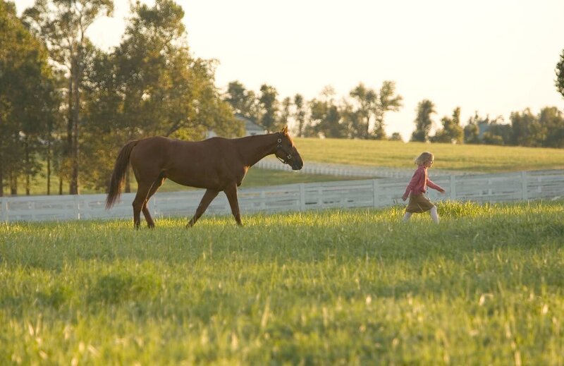 – Bild: DreamWorks, LLC. – Bild: DreamWorks, LLC.