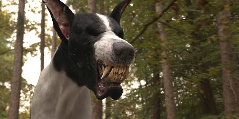 Bild: Amazon Studios