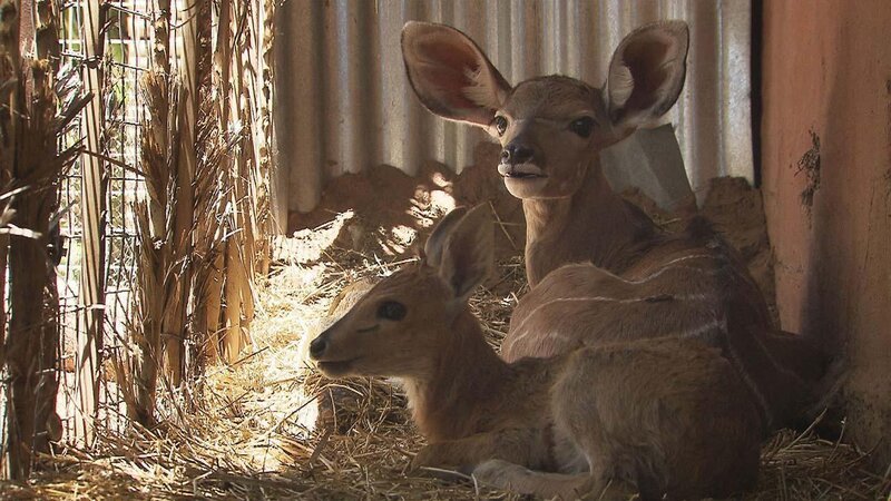 . – Bild: ANIXE HD