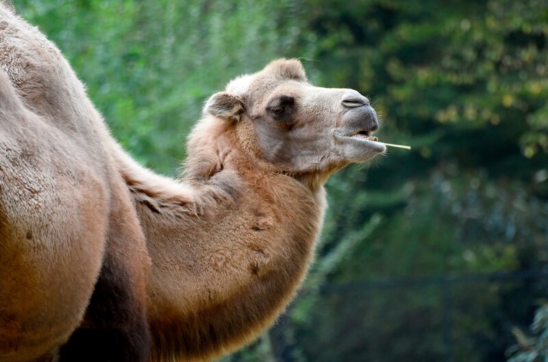 Bild: NDR/​Doclights GmbH