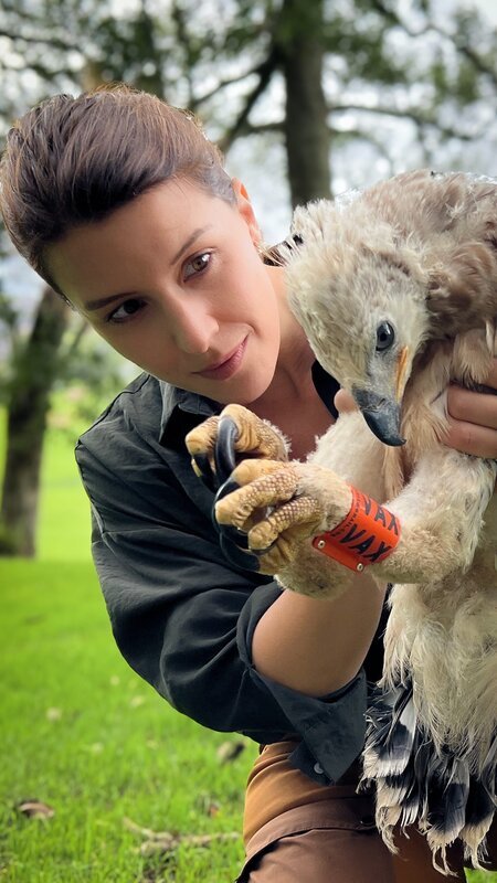ZDF-Wildtierärztin Hannah Emde unterstützt die Forschenden bei der Beringung eines Kronenadler-Kükens. Sie erforschen die Bewegungsmuster der Vögel. Mit dem Ring kann der Vogel überall wiedererkannt werden. – Bild: ZDF