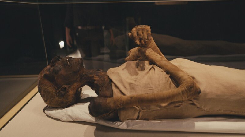 Eine endlose Herrschaft – Bild: RTL /​ PERNELMEDIA