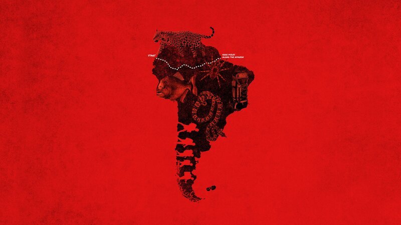 Unbekannt – Bild: Discovery