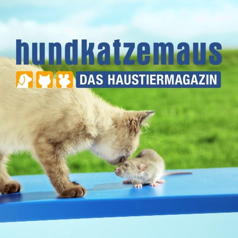 hundkatzemaus – Das Haustiermagazin: neues Sendungsdesign! – Bild: VOX