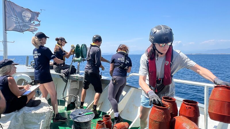 Vor der Küste Griechenlands bergen Aktivisten von Sea Shepherd illegale Reusen – gefangene Oktopusse kehren zurück ins Meer. – Bild: ZDF und Till Duhme