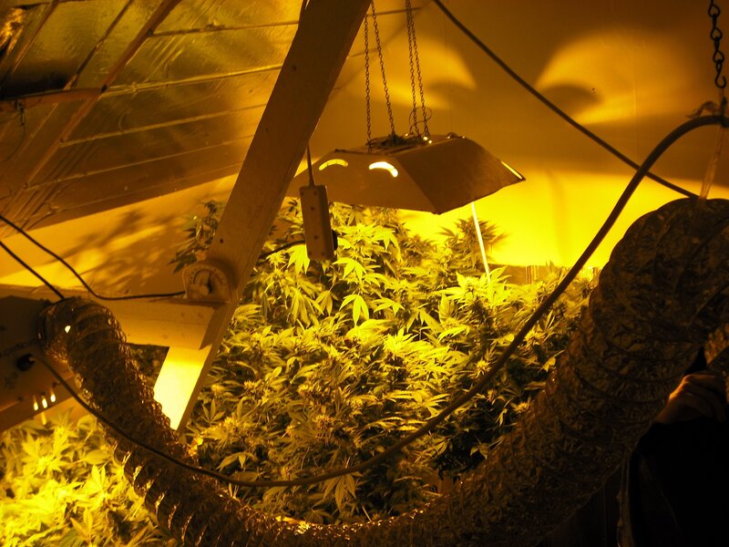 A marijuana grow house. – Bild: National Geographic Channels/​Ian Serfontein
