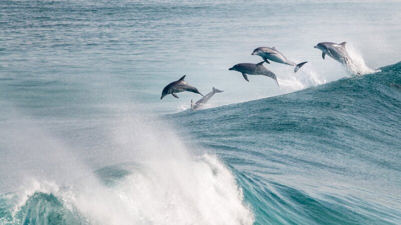 Bild: ZDF und arte, Blair Ranford