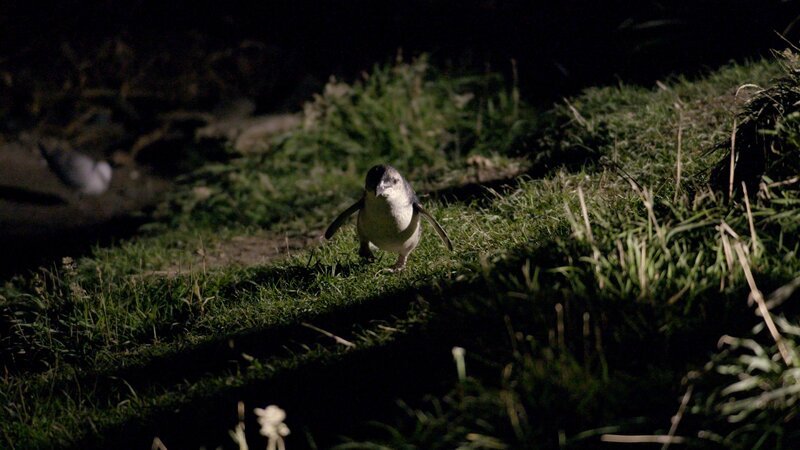 . – Bild: Marco Polo TV