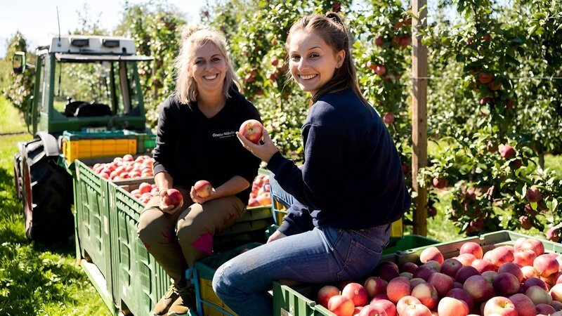 Marina (rechts) darf bei Obstbäuerin Lena bei der Apfelernte mithelfen und presst sogar richtigen Apfelsaft. – Bild: BR/​megaherz gmbh/​Hans-Florian Hopfner