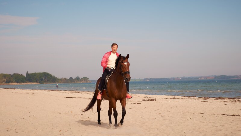 Bild: ZDF und GORDON MUEHLE