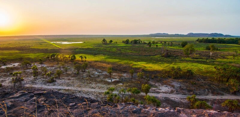 Bild: Northern Pictures