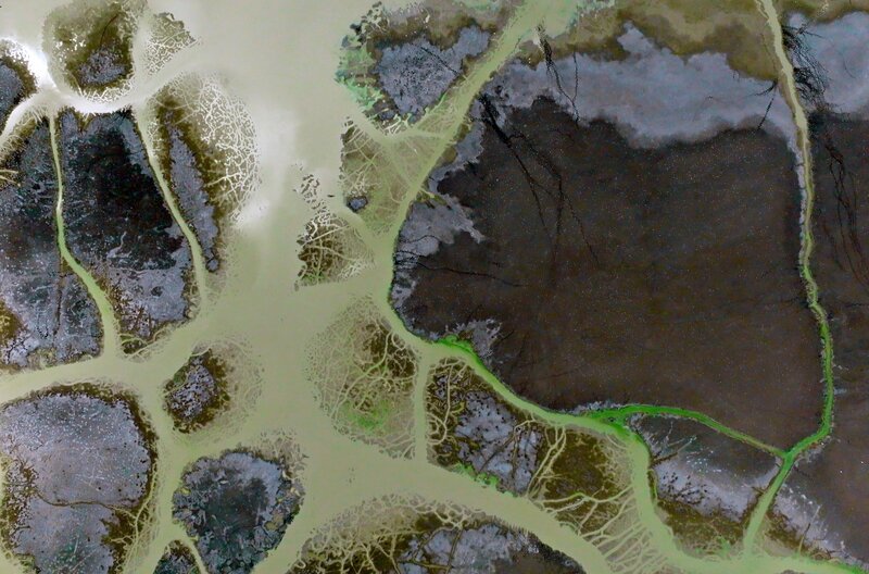 Der Katavi-Nationalpark ist ein Ort der Fülle, an dem es häufig regnet. Doch dieses Jahr hat eine Dürre Katavi heimgesucht. Nun beginnen für die Tiere Verteilungskämpfe um Futter und das Wasser des schwindenden Katuma-Flusses. – Bild: Owen Prümm