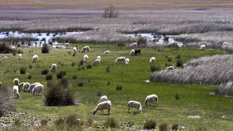 Bild: Ampersand /​ ZDF