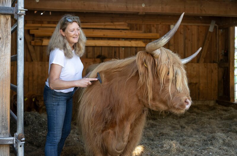 Christine Baumann kennt jedes Tier mit Namen und verwöhnt es regelmäßig mit der Fellbürste.; SWR LECKER AUFS LAND, „Kulinarische Schätze aus dem Nordschwarzwald“ – Bild: SWR/​WDR/​Melanie Grande
