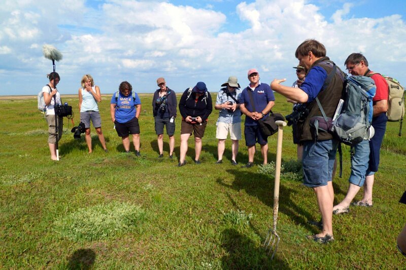 Rainer Schulz mit Kamerateam und Teilnehmern des Fotoseminars auf der Salzwiese beim Leutturm Westerheversand. – Bild: NDR/​Carsten Prehn