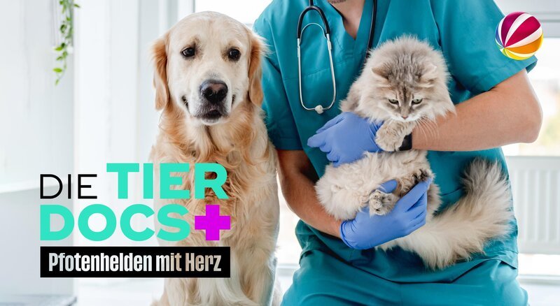 Bild: ProSiebenSat.1 Media SE