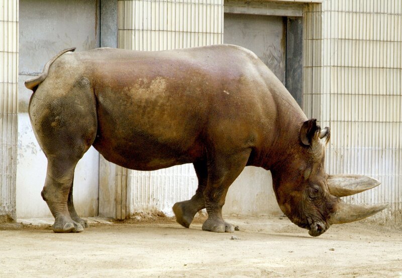 Bild: HR/​Petra Bruder