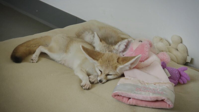 . – Bild: Warner Bros. Discovery