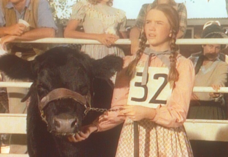 Während Charles den Ausreißer Albert sucht, kümmert sich Laura (Melissa Gilbert) um das Kälbchen … – Bild: Sat.1 Gold