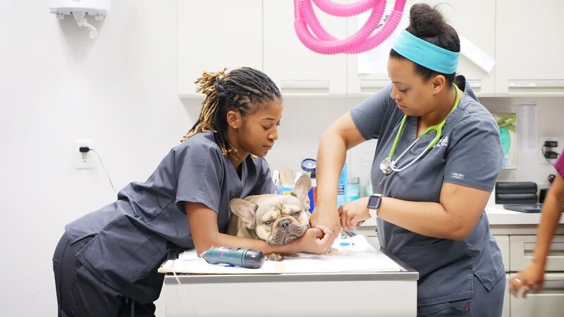 . – Bild: Warner Bros. Discovery