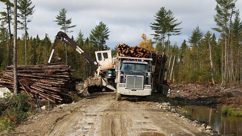 Bild: Discovery Communications /​ 011