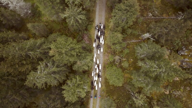 Bild: ORF/​Framearts/​Leopold Fuchs