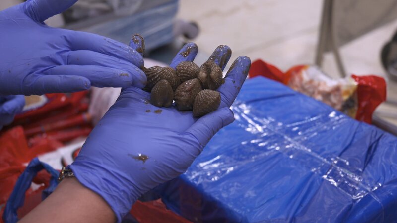 Bild: Discovery Communications, LLC