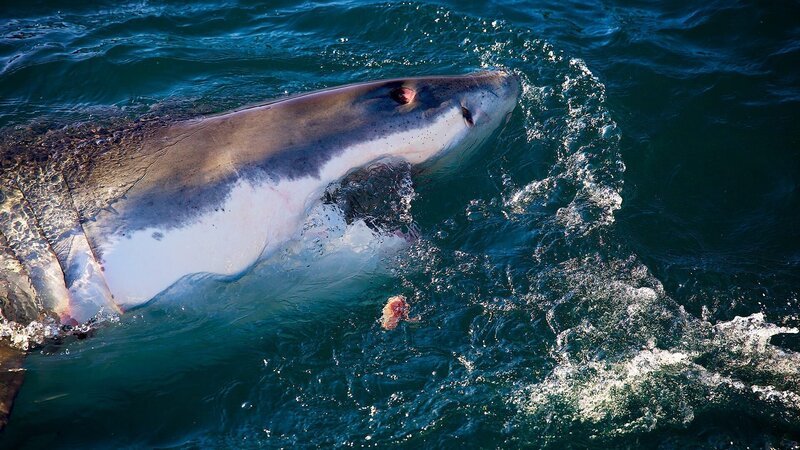 . – Bild: Warner Bros. Discovery