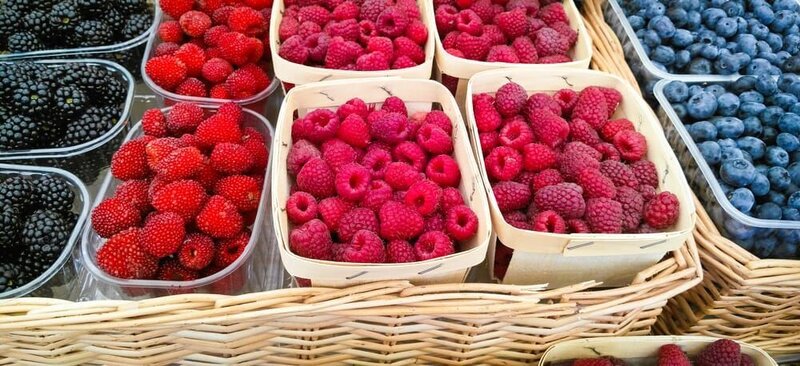 Bild: Discovery Science