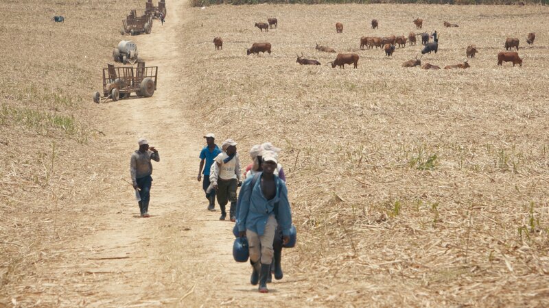 Bild: Hauteville Productions