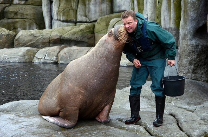 Ein Küsschen mit fischigem „Beigeschmack“: Dirk Stutzki und das Walross Raisa. – Bild: NDR/​Doclights GmbH