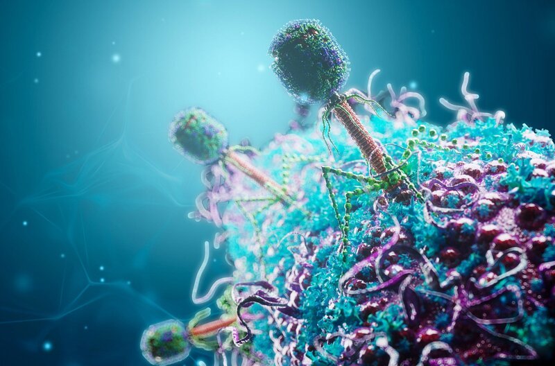 Die Wissenschaft sucht neue Waffen gegen Superkeime, denn neue Antibiotika kommen kaum auf den Markt. Viren – sogenannte Bakteriophagen – könnten helfen. Sie töten Superkeime, indem sie ihr Erbgut in das Bakterium schleusen und es letztendlich platzt. – Bild: NDR/​ARTE