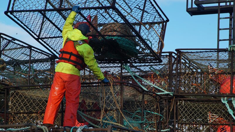 Wizard deckhand, Tyler Gateman guides another pot to the stack. – Bild: Discovery Communications