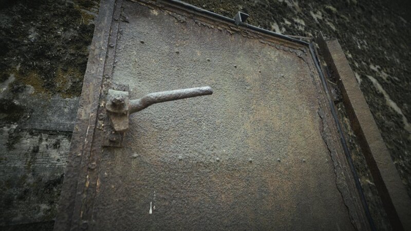 Bild: Go Button Media Lizenzbild frei