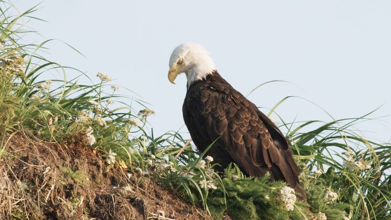 Bild: CuriosityStream-Inc