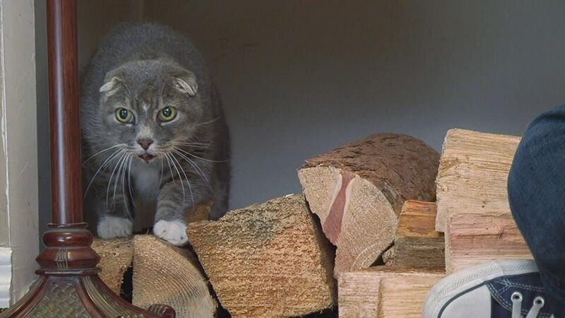 . – Bild: Warner Bros. Discovery