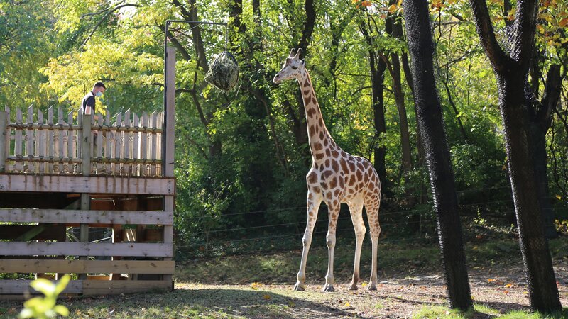 Bild: Discovery Communications, LLC