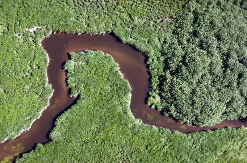Von der Barentssee bis ans Schwarze Meer beobachten Forscher die reichhaltigen Tier- und Pflanzenarten dort, wo früher der Eiserne Vorhang verlief. – Bild: Bonne Pioche Télévision /​ ARTE F