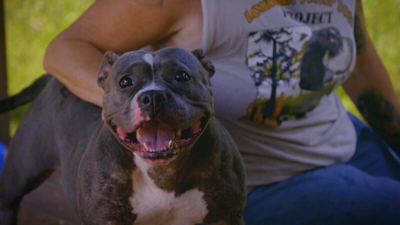 . – Bild: Warner Bros. Discovery