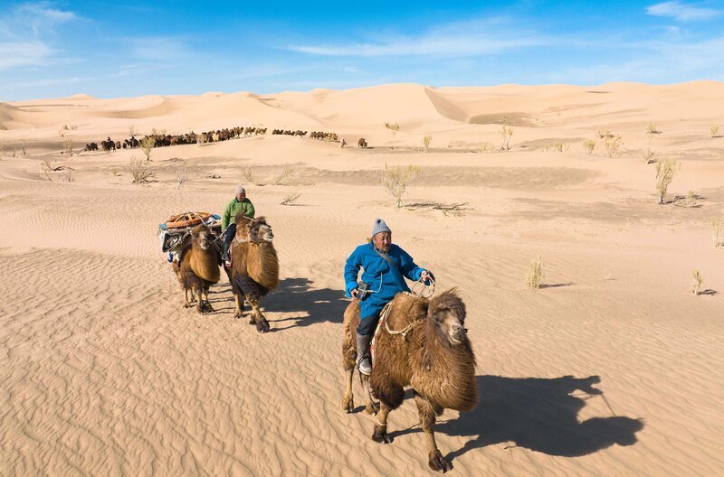 Nomadische Kamelzüchter in der Wüste Gobi müssen ihre Routen an die Folgen des Klimawandels anpassen und bangen jeden Tag um den Erhalt ihrer Kultur. – Bild: ARTE F /​ Les Gens Bien Productions