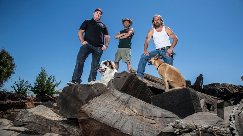 Bild: Discovery Communications