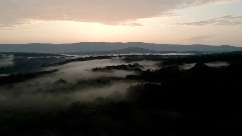 Der Wald ist ein wichtiges Ökosystem für die gesamte Region. – Bild: 3sat