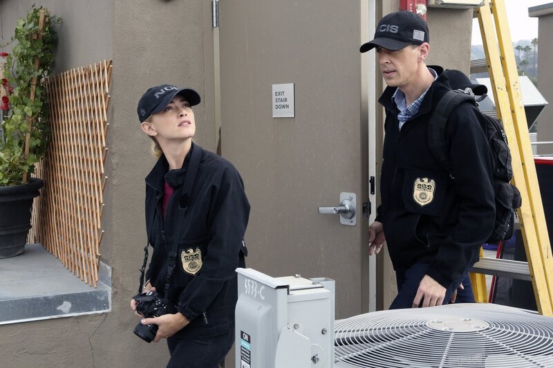 Wieso stürzte Sergeant Hill vom Dach des Hochhauses? Während Bishop (Emily Wickersham, l.) und McGee (Sean Murray, r.) von Suizid ausgehen, ist Hills Ärztin überzeugt davon, dass jemand versucht hat, ihre Patientin umzubringen&nbsp;… – Bild: PLURIMEDIA (CBS Broadcasting Inc.)
