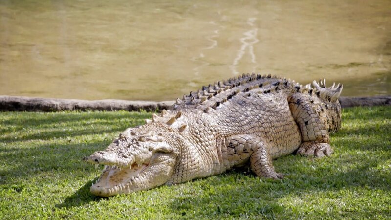 . – Bild: Warner Bros. Discovery