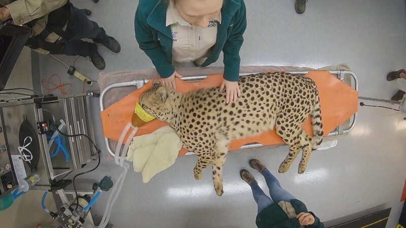 . – Bild: Warner Bros. Discovery