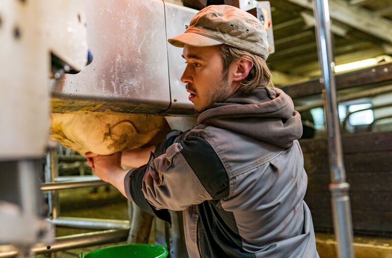 Sebastian (Dominik Stricker) steht mit der Hofarbeit meist alleine da, weil Bea immer öfter in der Dorfkneipe hilft. – Bild: SWR/​Christian Koch