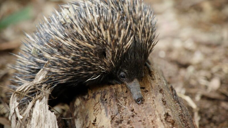 . – Bild: Warner Bros. Discovery