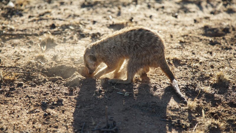 Bild: Discovery Communications, LLC